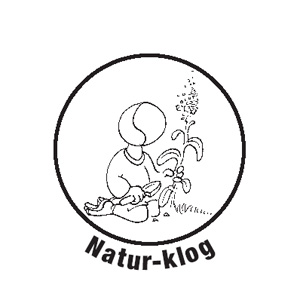 Natur-klog